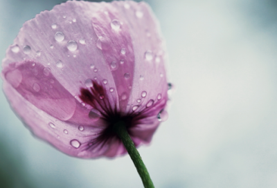 ​谜语大全及答案1000个答案