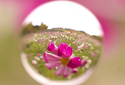 ​儿童谜语大全6一8岁3056个