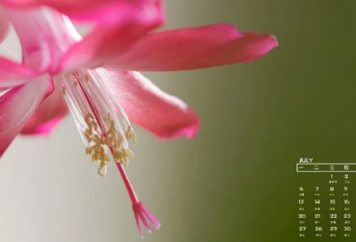 ​谜语大全及答案3057个