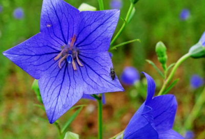 ​猜字谜语大全及答案3051个