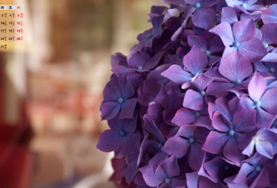 ​幼儿谜语3058个