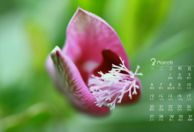 ​幼儿园谜语3043个