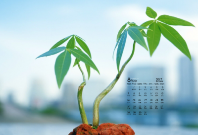 ​幼儿园谜语3044个