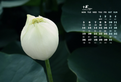 ​儿童谜语大全3035个