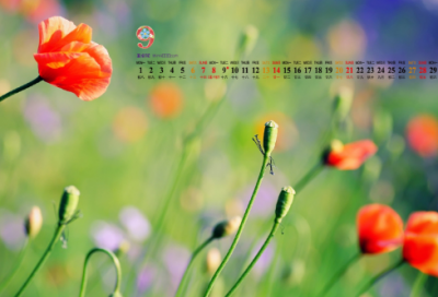 ​小学生谜语3057个