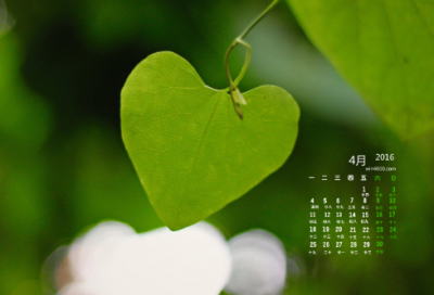 ​谜语大全儿童7到8岁3036个