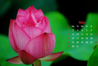 ​容易让女生想歪的谜语3041个