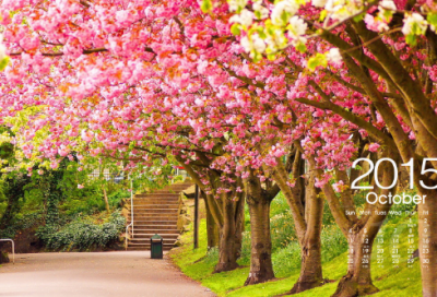 ​儿童谜语大全3054个