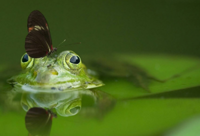 ​谜语大全大全优选3038个