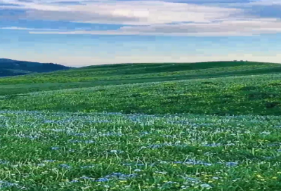 ​最难字谜语大全及答案3040个