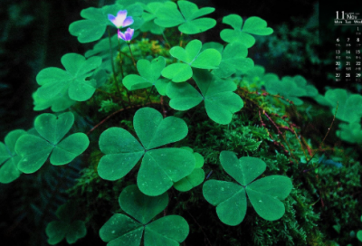 ​猜字谜语大全及答案3030个