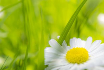 ​幼儿谜语3042个