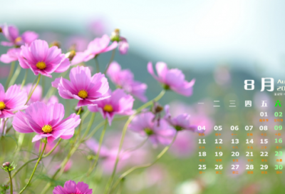 ​谜语大全儿童7到8岁3047个