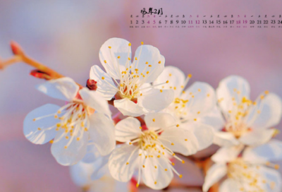 ​容易让女生想歪的谜语3048个