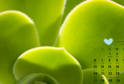 ​儿童谜语3036个