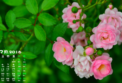 ​一年级谜语大全及答案3043个