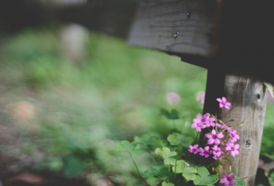 ​一年级谜语大全及答案3031个