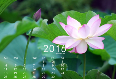 ​谜语大全儿童3到6岁问题3030个