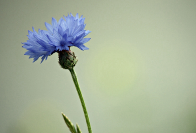 ​最容易想歪的谜语202个沙雕