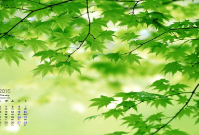 ​小学生谜语大全及答案3038个