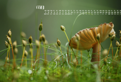 ​儿童谜语大全3到6岁3028个