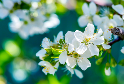 ​儿童谜语大全6一8岁3040个