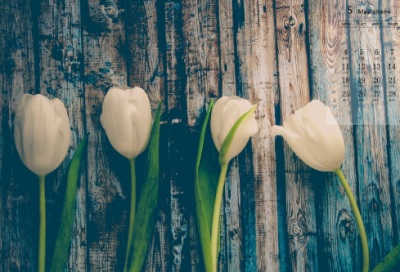 ​谜语大全儿童7到8岁3057个