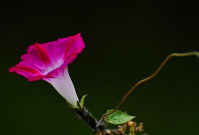 ​儿童谜语大全6一8岁3034个