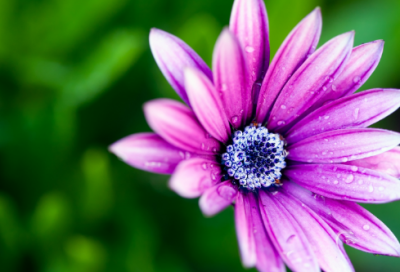 ​猜字谜语大全及答案3041个