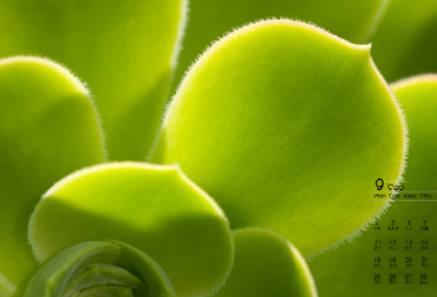 ​谜语大全儿童7到8岁3025个