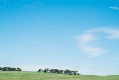 ​幼儿谜语3031个