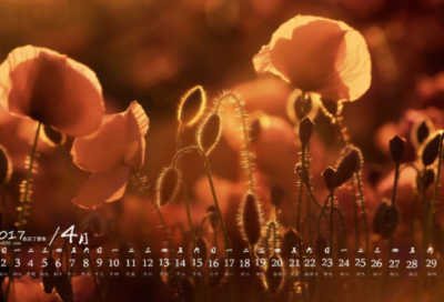 ​谜语包含答案3036个