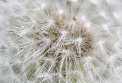 ​儿童谜语大全3到6岁3041个