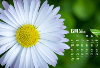 ​儿童谜语大全3040个