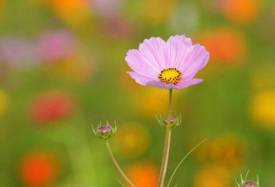 ​谜语大全及答案1000个合集