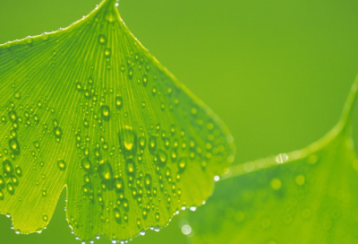 ​儿童谜语大全3到6岁3044个