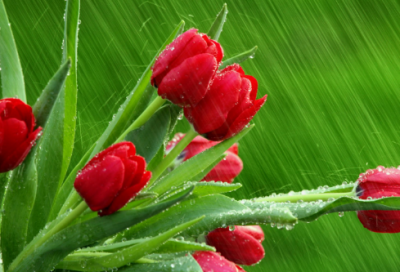 ​谜语大全儿童7到8岁3039个