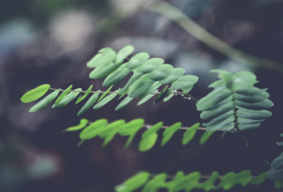 ​小学生谜语大全及答案3044个