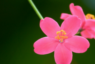 ​谜语大全及答案1000个锦集