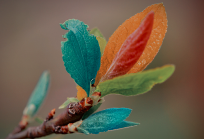 ​儿童谜语大全3029个