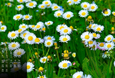 ​少儿谜语大全3030个