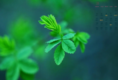 ​儿童谜语大全3到6岁3033个