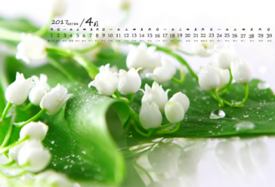 ​谜语大全及答案3042个