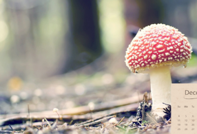 ​谜语大全儿童7到8岁3034个