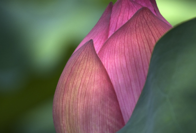 ​幼儿谜语3021个