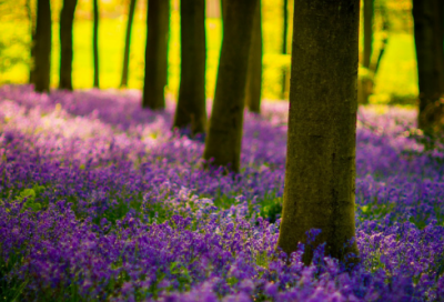 ​谜语大全谜语3030个