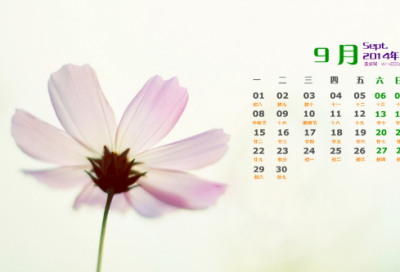 ​最难字谜语大全及答案3043个