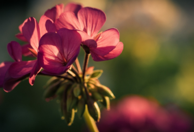 ​谜语最难的3018个