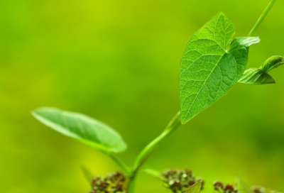 ​小学生谜语3029个