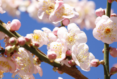 ​谜语大全及答案3025个